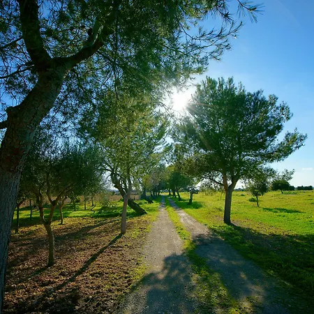 Bou Ros Finca Can Nadal * Felanitx